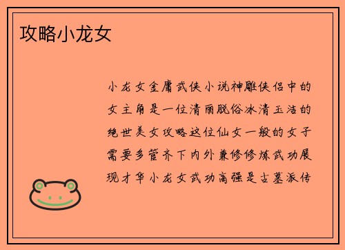 攻略小龙女